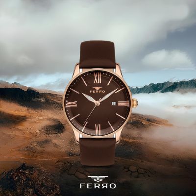Мъжки часовник Ferro - F11182B-S